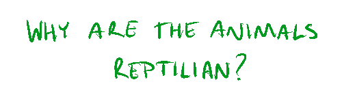 [Why are the animals reptilian?]